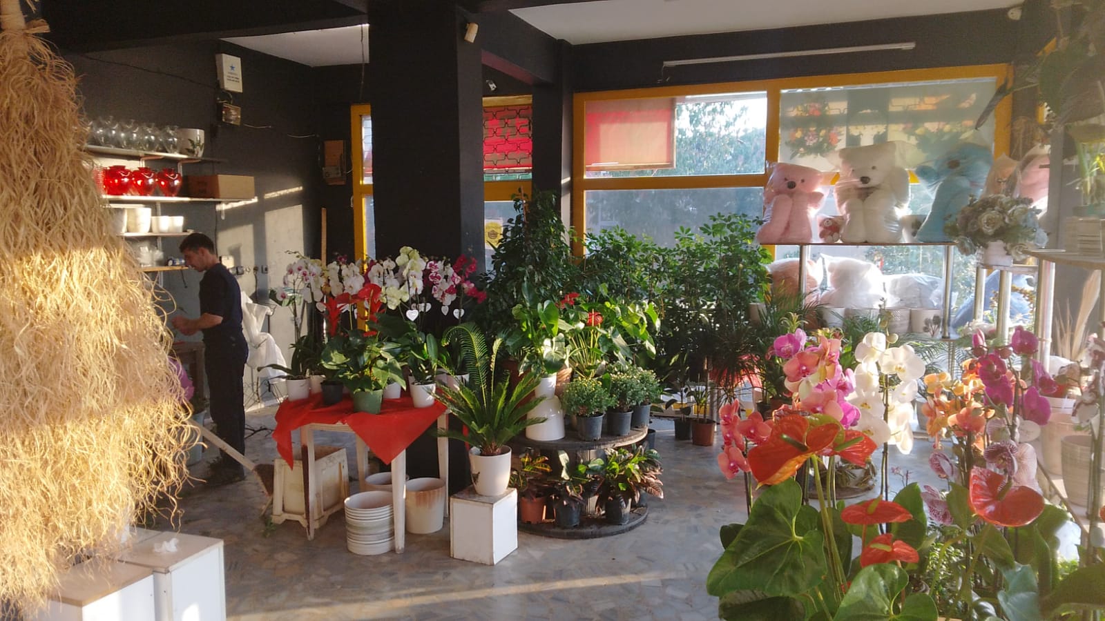 Aradığınız çiçekler şimdi beyazorkidecicek.com 